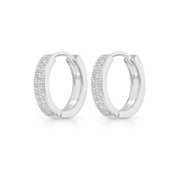 Argollas Microcirconadas