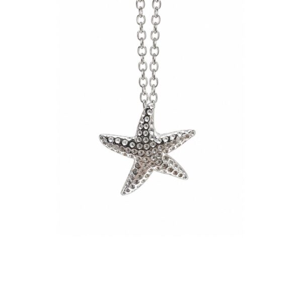 Collar Estrella de Mar