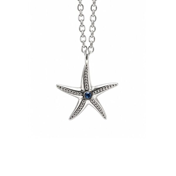 Collar Estrella de Mar Circón Azul