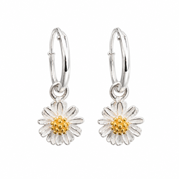 Argollas Margaritas